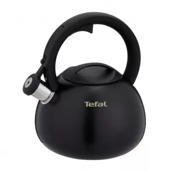 Tefal N4180410 Express Control Stainless Steel Kettle 2.5 L Induction Silver/Black