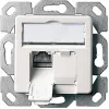 Telegärtner AMJ45 8/8 K Up/50 Cat.6A Flush-Mount Data Outlet, 2x RJ45, Shielded, Pearl White RAL 1013 J00020A0501