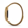 Titmo Loop I-110 Gold Smartband with ECG, HRV, HR, BP, SpO2, IP68, Bluetooth