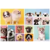 TREFL PUZZLE Puzzle 160 Dog Friendship Trefl 15412