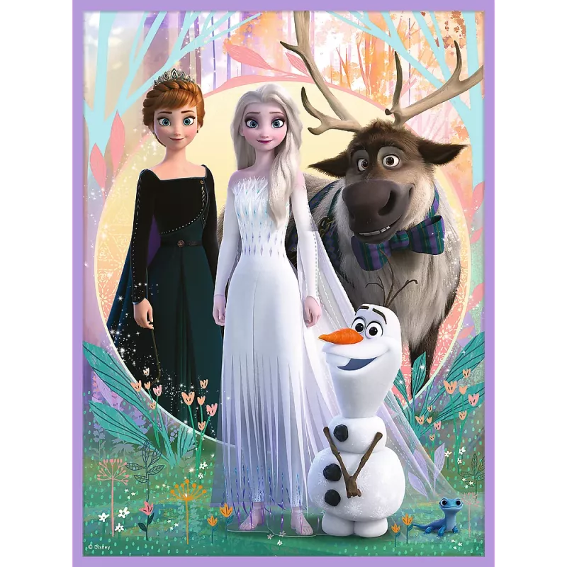 TREFL PUZZLE Puzzle - 2in1 + Memos Princesses in Their Land - Disney Frozen 2 93335