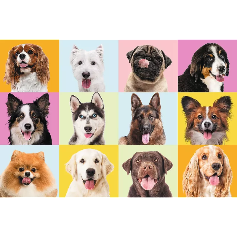 TREFL PUZZLE Puzzles - 60 - Sweet puppies