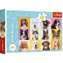 TREFL PUZZLE Puzzles - 60 - Sweet puppies