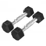 Tunturi Platinum Hex Rubber Dumbbell, 1kg, Pair