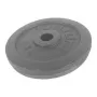 Tunturi 5 kg Cast Iron Weight Disc, Black, 30 mm Hole