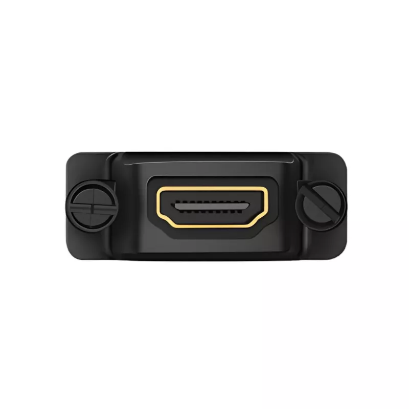 UGREEN DVI (24+1) Male to HDMI Female Adapter - Black
