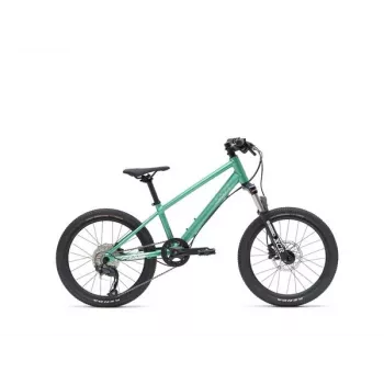 VAAST Y/1 Mountain Bike 20 Inch Gloss Teal – Junior MTB with Super Magnesium Frame