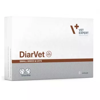 VetExpert Diarvet Small Breed and Cats 6 Capsules
