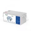 VOLT POLSKA LiFePO4 Battery 24V 120Ah 120A