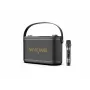 W-King H10S Portable Wireless Speaker, 100W RMS, Bluetooth 5.0, IPX6, Black