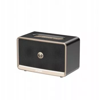 W-King H330 Portable Wireless Bluetooth Speaker 30W IPX6 Black