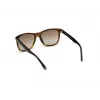 WEB EYEWEAR MAN WE0279-5652G Sunglasses Havana Green 56/19/145 mm