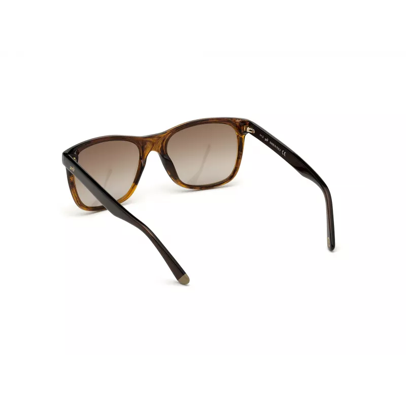 WEB EYEWEAR MAN WE0279-5652G Sunglasses Havana Green 56/19/145 mm