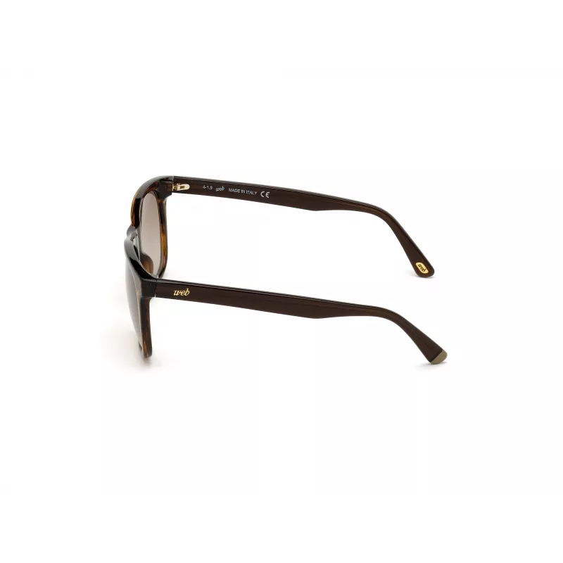 WEB EYEWEAR MAN WE0279-5652G Sunglasses Havana Green 56/19/145 mm