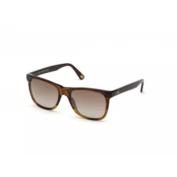 WEB EYEWEAR MAN WE0279-5652G Sunglasses Havana Green 56/19/145 mm