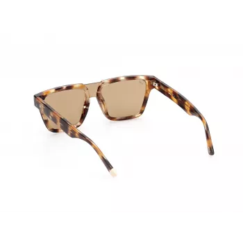 WEB EYEWEAR MAN WE0314-0041F Sunglasses Havana Acetate Frame Brown Gradient Lens 54-19-145