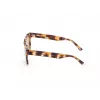 WEB EYEWEAR MAN WE0314-0041F Sunglasses Havana Acetate Frame Brown Gradient Lens 54-19-145