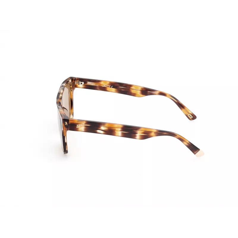WEB EYEWEAR MAN WE0314-0041F Sunglasses Havana Acetate Frame Brown Gradient Lens 54-19-145