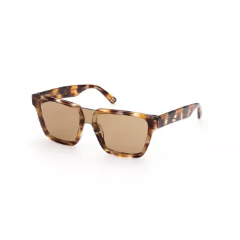 WEB EYEWEAR MAN WE0314-0041F Sunglasses Havana Acetate Frame Brown Gradient Lens 54-19-145