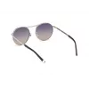 WEB EYEWEAR Unisex Sunglasses WE0242-5316X Havana Acetate Brown Lens 53-19-145