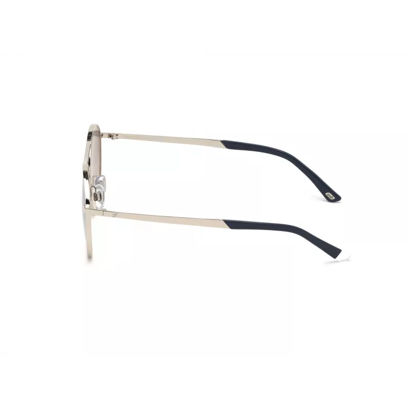 WEB EYEWEAR Unisex Sunglasses WE0242-5316X Havana Acetate Brown Lens 53-19-145