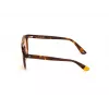 WEB EYEWEAR Unisex WE0262-5156J Rectangular Acetate Sunglasses Havana/Brown Gradient Lens 51/19/145 mm UV400