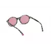 WEB EYEWEAR Women's Cat Eye Sunglasses WE0266-5155Y Havana/Brown Gradient 51mm