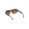 WEB EYEWEAR Women's Sunglasses WE0288-6052F Havana Grey Gradient 60/18/125 mm