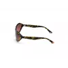 WEB EYEWEAR Women's Sunglasses WE0288-6052F Havana Grey Gradient 60/18/125 mm