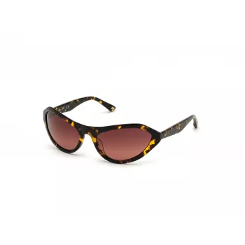 WEB EYEWEAR Women's Sunglasses WE0288-6052F Havana Grey Gradient 60/18/125 mm