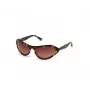 WEB EYEWEAR Women's Sunglasses WE0288-6052F Havana Grey Gradient 60/18/125 mm