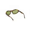 WEB EYEWEAR Women's Sunglasses WE0288-6052N (Lens 60 mm, Bridge 18 mm, Temple 125 mm) UV400