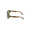 WEB EYEWEAR Women's Sunglasses WE0288-6052N (Lens 60 mm, Bridge 18 mm, Temple 125 mm) UV400