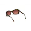 WEB EYEWEAR Women's Sunglasses WE0289-5652F Acetate Frame UV400 56mm