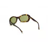 WEB EYEWEAR Women's Sunglasses WE0289-5652N Havana Acetate Square Frame Brown Gradient Lens 56/19/130 mm