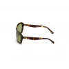 WEB EYEWEAR Women's Sunglasses WE0289-5652N Havana Acetate Square Frame Brown Gradient Lens 56/19/130 mm