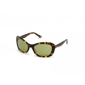 WEB EYEWEAR Women's Sunglasses WE0289-5652N Havana Acetate Square Frame Brown Gradient Lens 56/19/130 mm