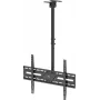 WENTRONIC Goobay TV Ceiling Mount XL 80175
