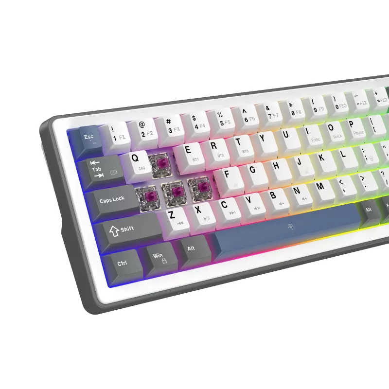 White Shark EXCALIBUR M Mechanical Keyboard (GK-009251) with Outemu Blue Switches, RGB Backlight, US Layout, White