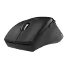 WINX DO ESSENTIAL Wireless Mouse 2.4 GHz Optical 1600 DPI Black