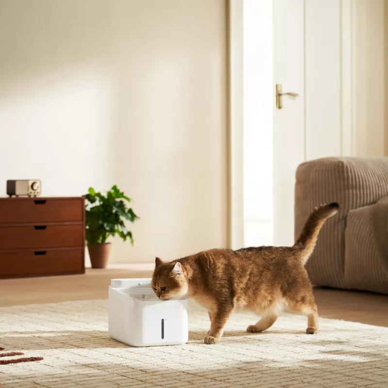 Xiaomi Smart Pet Fountain 2 - 2L Automatic Cat & Dog Water Dispenser with Quadruple Filtration, App Control, Silent Pump, White