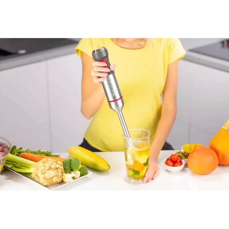 Zelmer ZHB4650 Vario Hand Blender 1000W Stainless Steel Black/Silver