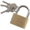 PAVO Brass Padlock 40 mm with 3 Keys 8037292