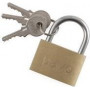 PAVO Brass Padlock 40 mm with 3 Keys 8037292