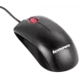 Mouse IBM Optical Wheel Mouse 41U3030 USB